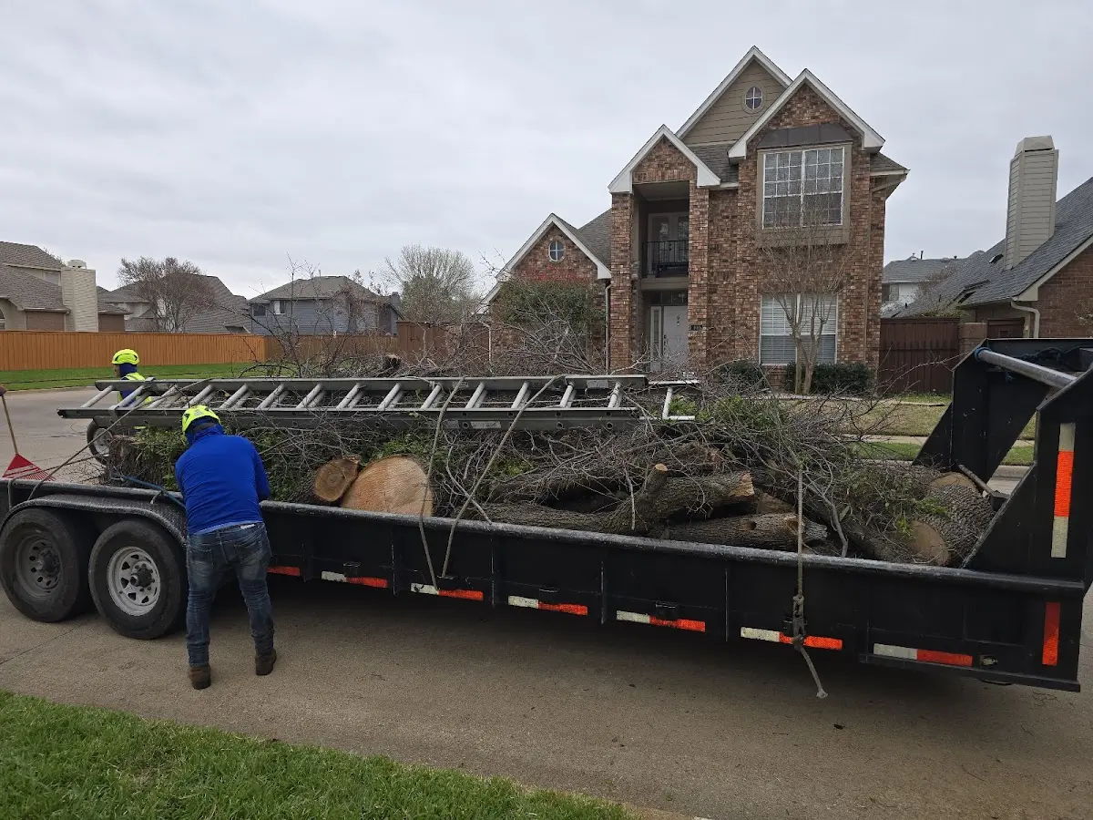 Expert Lot Clearing with proper safety equipment in Linthicum Heights